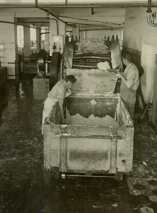 Dresden. Margarine- und Speisefett-Fabrik Petzoldt & Schliephacke. Multiplex, Einwurf der Margarine
