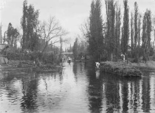 Gewässer und Ufer : Gewässer- und Uferansicht