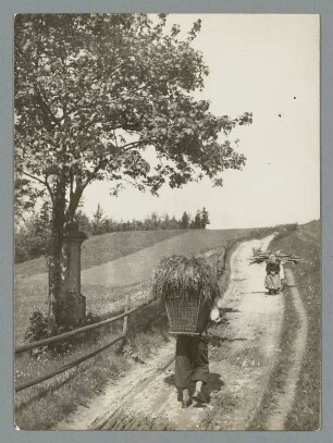 Am Wegrand bei Elbogen