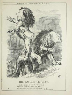 The Lancashire lions
