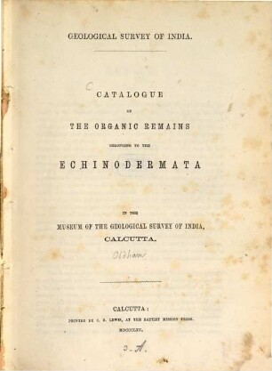 Catalogue of the Organic Remains belonging to the Echinodermata in the Museum of the Geological Survey of India, Calcutta : Geological Survey of India, 1