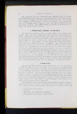 1. Wirbelsäule, Columna vertebralis.