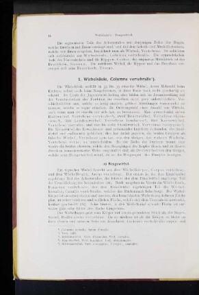 1. Wirbelsäule, Columna vertebralis.