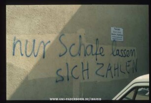 nur Schafe lassen SICH ZAHLEN