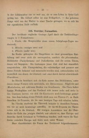 III. Tertiäre Formation
