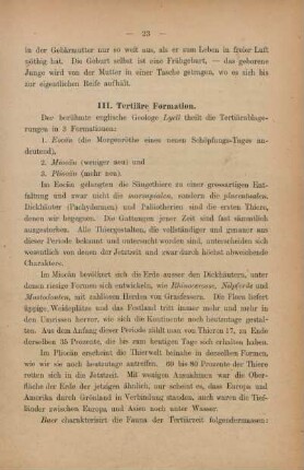 III. Tertiäre Formation