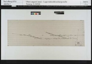 Vereinigt Zwitterfeld Fundgrube in Zinnwald, Querschlag 45 und Steigort 76