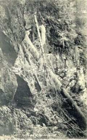 Die Arber-Seewand im Bayerischen Wald