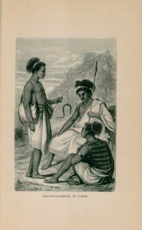 Snake-charmers in Timor