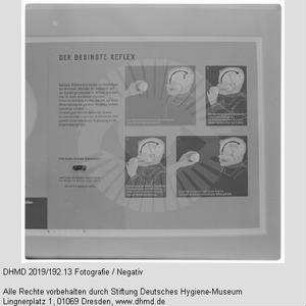 Nationale Hygiene-Ausstellung - Raum 10 - "Der bedingte Reflex"