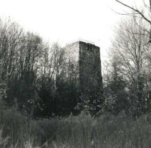 Stauchitz-Seerhausen. Schlosspark. Ansicht mit Aussichtsturm