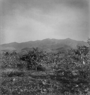 Gebirgskette (Kamerunreise 1937)
