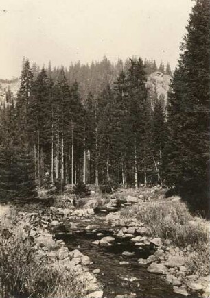 Erzgebirge. Schwarze Pockau bei Poberschau
