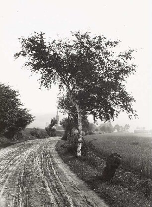 Steinkreuz : Gutenfürst. Weg nach Kemnitz mit Steinkreuz (K 58). Blick in Richtung Kemnitz