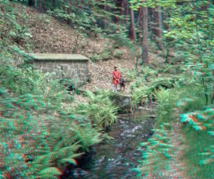 Wasserläufe Freiberg: Rösche zum Rothbächer Teich