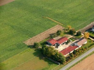 Geinsheim