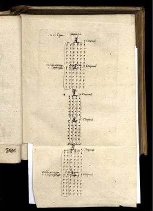 22. Fig.
