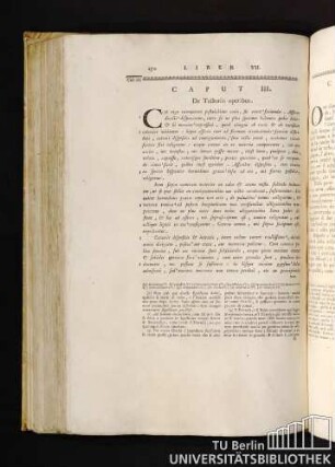 Caput III. De Tectoriis operibus. Capitolo III. Degl'intonachi.