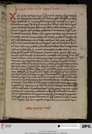 Bonaventura, Lignum vitae