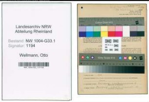 Entnazifizierung Otto Wellmann , geb. 17.11.1895 (Studienrat)