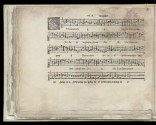 VIII. Sum tuus in uita