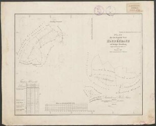 Plan über den Gemeinde-Wald von Horrenbach auf dortiger Gemarkung