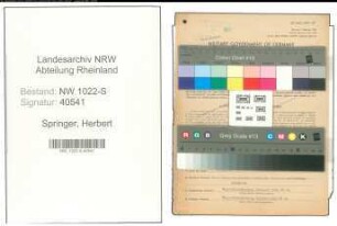 Entnazifizierung Herbert Springer , geb. 23.11.1905 (Anwalt)