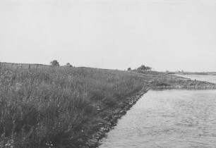 Uferschutz an der Weser