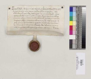Bischof Albert von Regensburg quittiert Abt Hieronymus [II. Feury] von St. Emmeram über zehn Pfund Regensburger Pfennige für die dem Bischof von Regensburg auf päpstliche Weisung jährlich geschuldeten 30 Pfund Turnosen (Turonensium parvorum). S=A