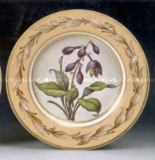 Teller mit dem Dekor "Hemericallis coerulea" - aus einer botanischen Serie