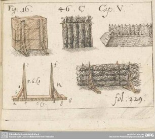 Fig: 16. 46. Cap. V. fol: 229
