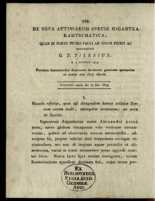 DE NOVA ACTINIARUM SPECIE GIGANTEA KAMTSCHATICA,