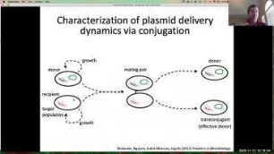 Synthetic biology approaches to suppression of antibiotic resistance