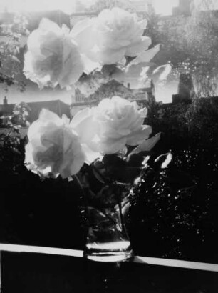 Stilleben. Rosen in Glasvase