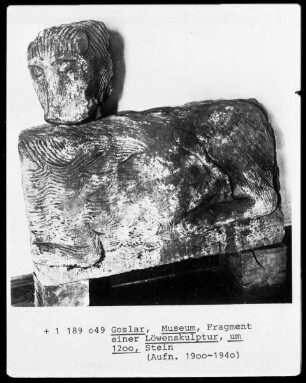 Fragment eines Löwen