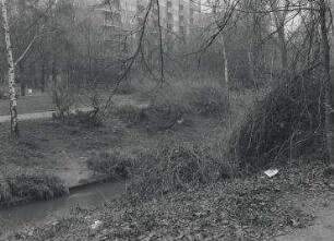 aus der Serie: Berlin-Wedding (Panke)