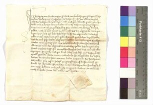Katharina von Sindringen, Peter von Berlichingen's Witwe: Schuldbrief.