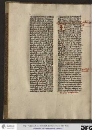 Capitulum XIX.