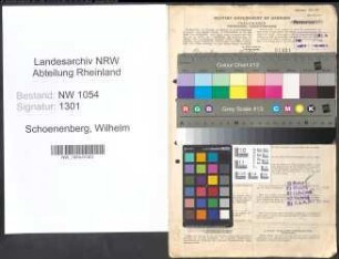 Entnazifizierung Wilhelm Schoenenberg , geb. 26.11.1878 (Stadtinspektor)