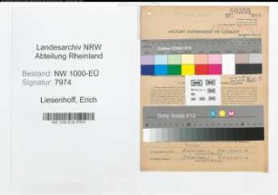 Entnazifizierung Erich Liesenhoff, geb. 17.02.1902 (Verw.Angest.)