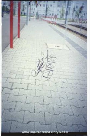 skenone kANiS