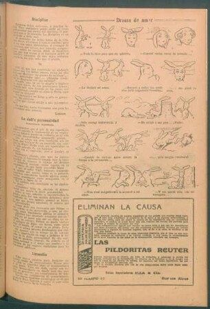 Disciplina