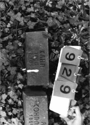 Grabstein 929 [Hahn S. 241 Grab-Nr. 667]