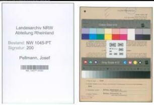 Entnazifizierung Josef Pellmann , geb. 13.04.1901 (Postbeamter)