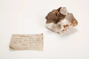 diverse Mineralien, Steine, Halbedelsteine, Versteinerungen etc. - Konvolut