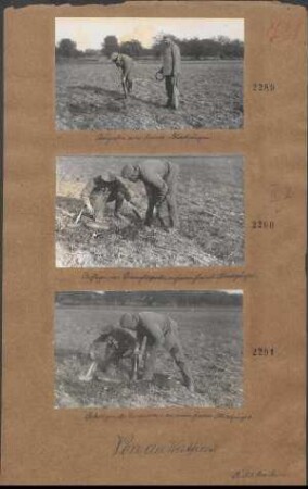 Ausgraben eines französ. Blindgängers