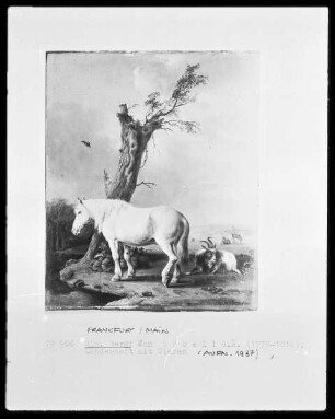 Landschaft mit Tieren