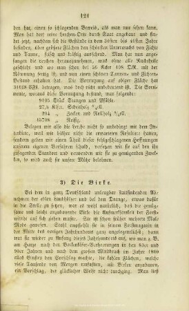V.3. Die Birke
