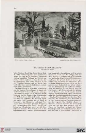 Goethes Formbegriff