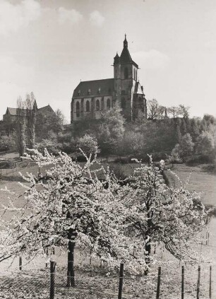 Rheinland. Früling bei Niederlahnstein. Baumblüte. Im Bildhintergrund die Ansicht der von 1895 bis 1901 im neugotischen Stil errichteten Allerheiligenkapelle